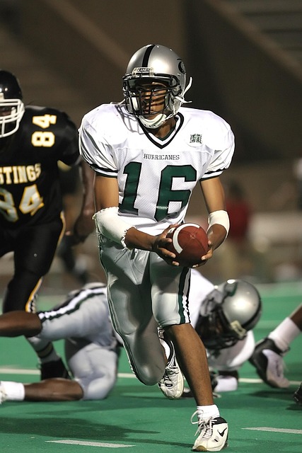 维拉的期望 维拉的期望